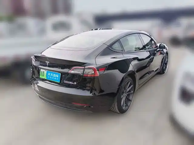 Tesla Model 3 2021 Performance High-Performance All-Wheel Drive — фото 2