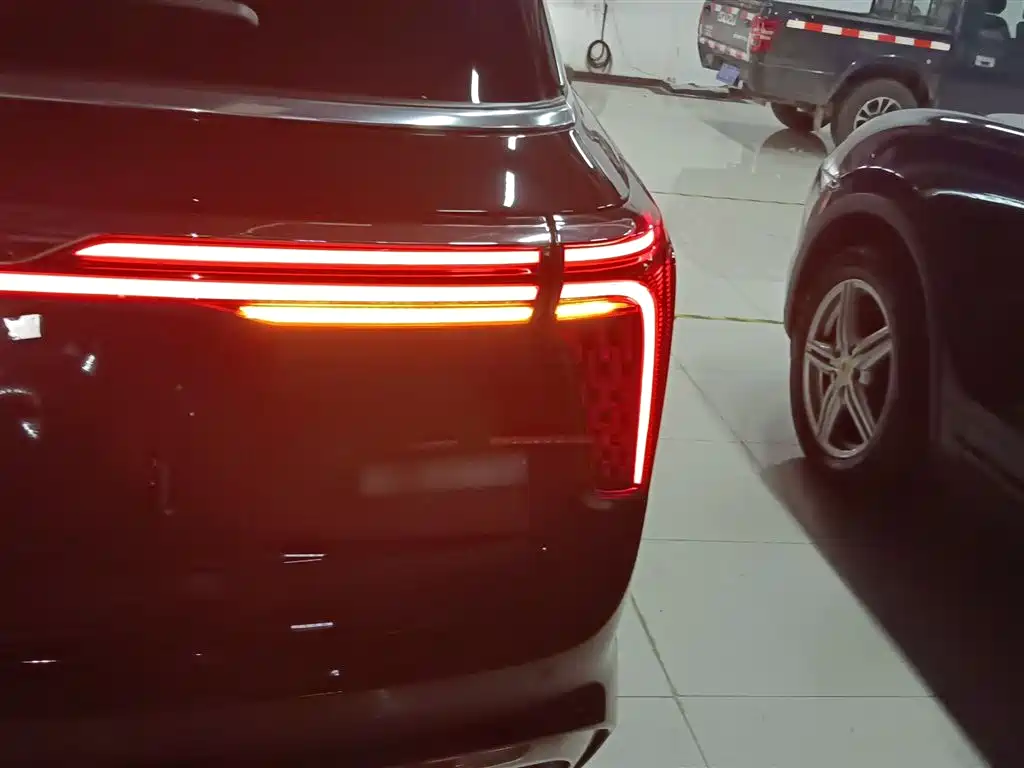 Hongqi E-HS9 2021 510km Flagship Comfort 6-seater фото 8