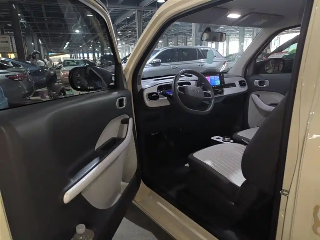 Geely Galaxy Panda 2025 Panda mini 210km Vitality Bear фото 16