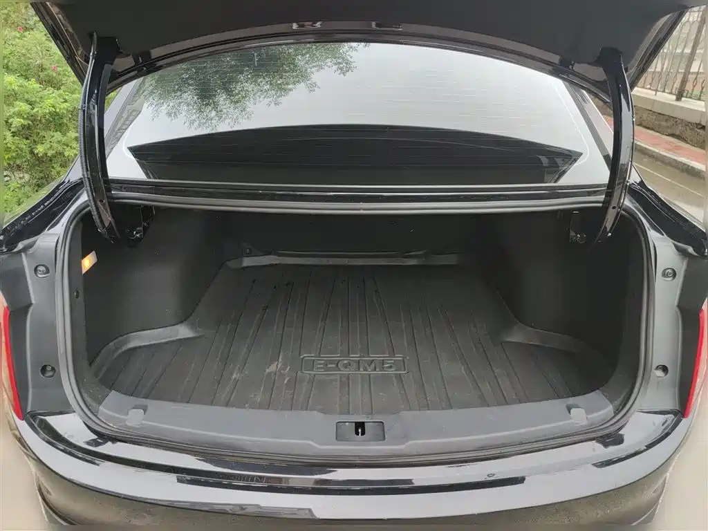 Hongqi E-QM5 2023 Facelift Basic Travel Edition фото 10