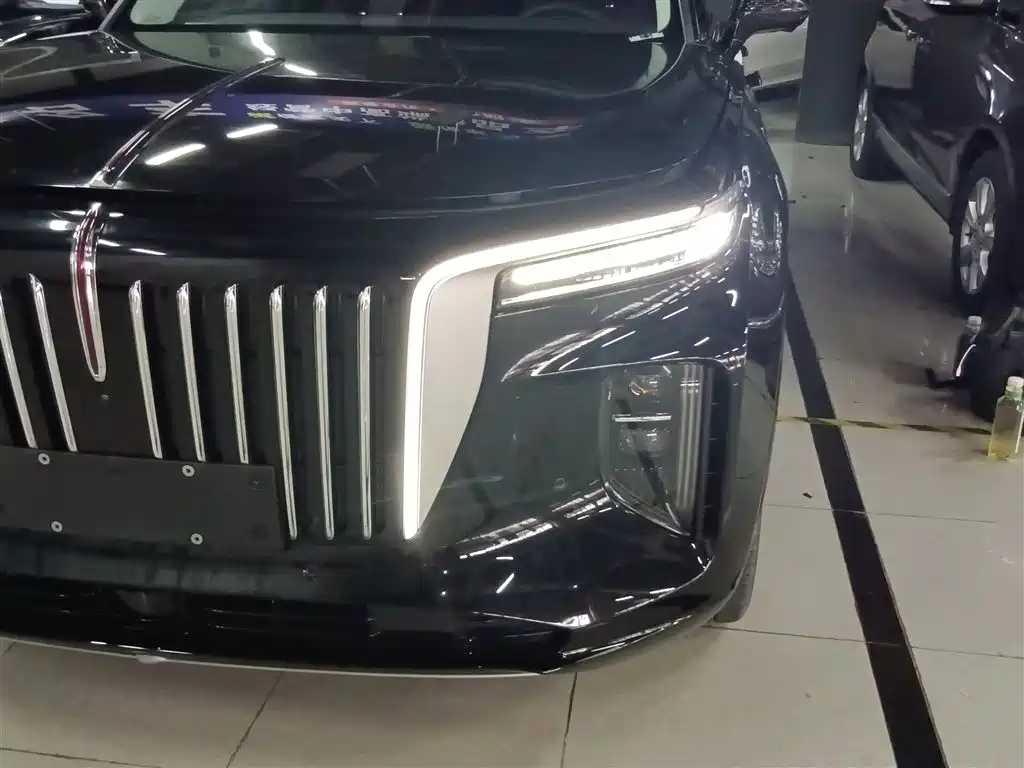 Hongqi E-HS9 2021 510km Flagship Comfort 6-seater фото 23