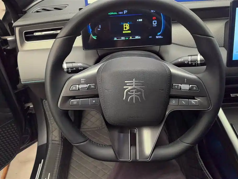 BYD Qin PLUS 2025 DM-i Smart Drive 55KM Leader фото 15