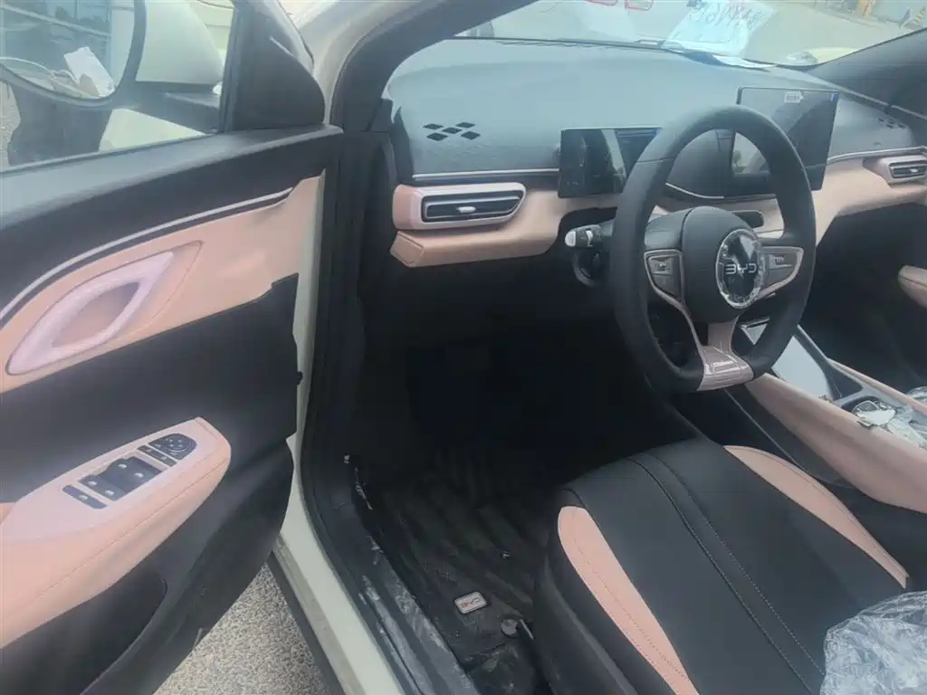 BYD Seagull 2025 Smart Drive Edition 305km Vitality Version фото 16