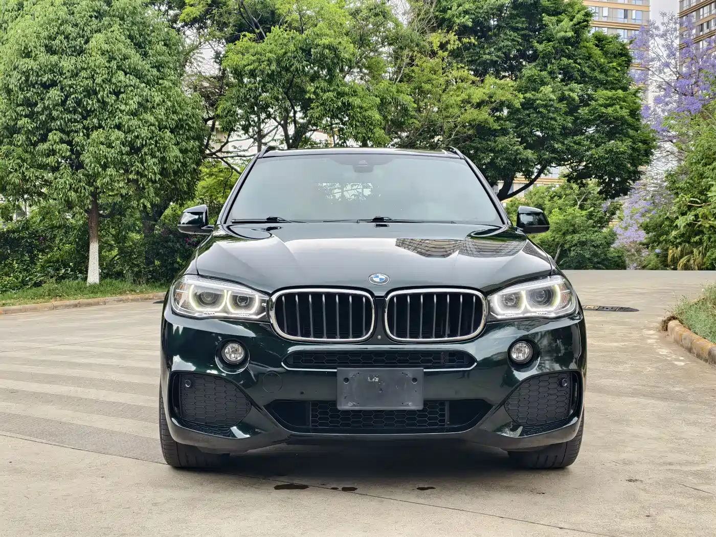 BMW X5 (Import) 2018 xDrive35i M Sport Luxury Model фото 2