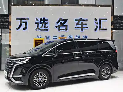 Denza D9
