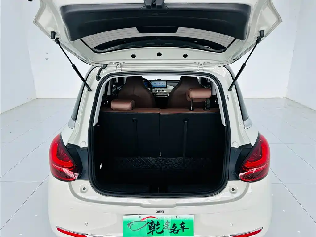  Wuling Motors Wuling Bingo 2023 Model 333km Joy+ Version 21