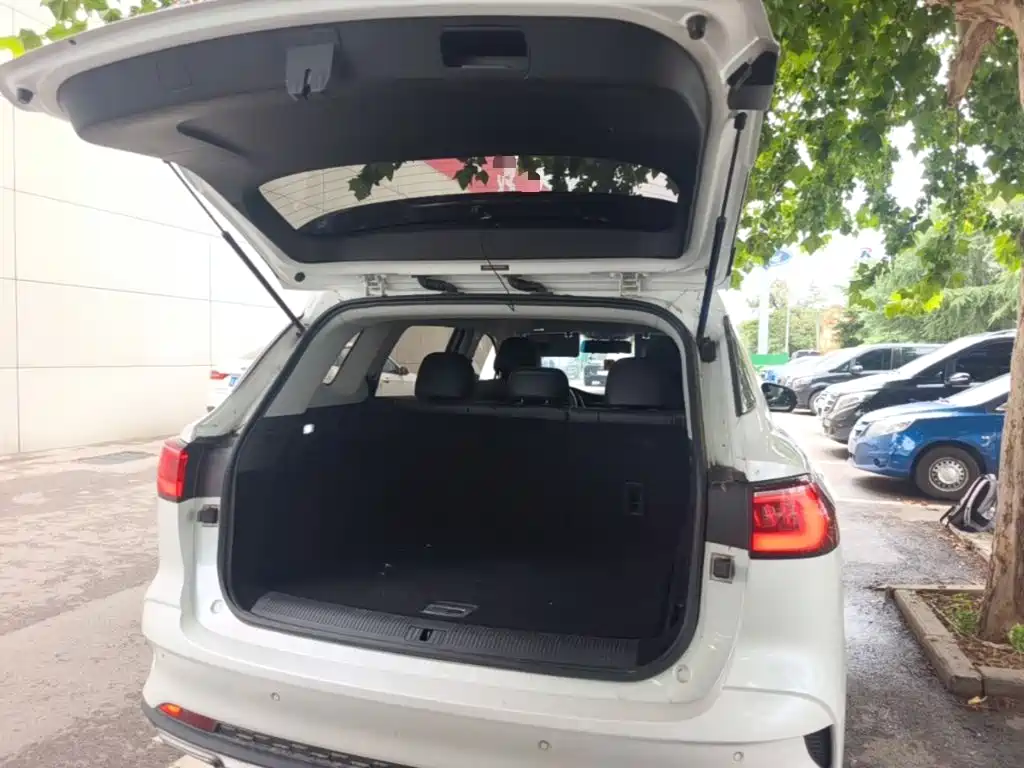 Roewe RX5 MAX 2021 2019 300TGI Automatic 4G Connected Luxury Edition