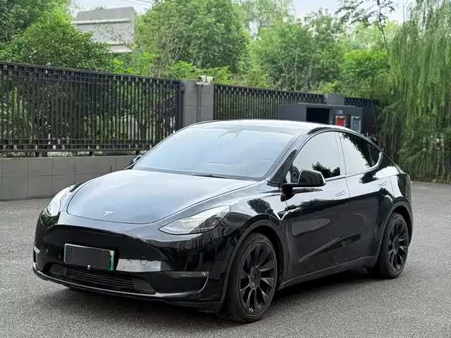 Tesla Model Y Увеличенный запас хода, полный привод