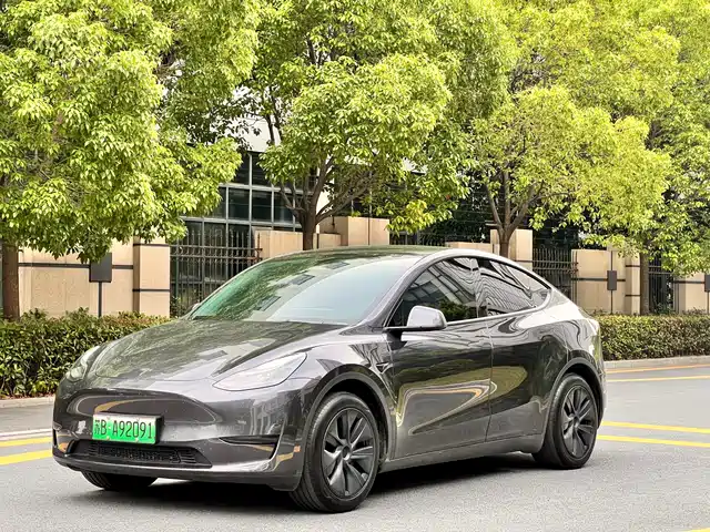 Tesla Model Y 2024 Rear-Wheel Drive Version