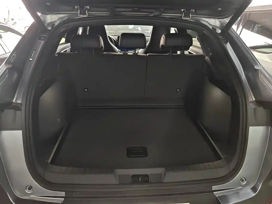 BYD Song PLUS PHEV 2021 DM-i 110KM Flagship PLUS фото 4