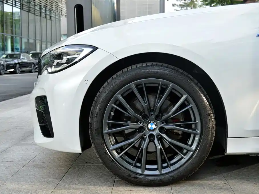 BMW 3 Series 2020 325i M Sport Black Night Package фото 12