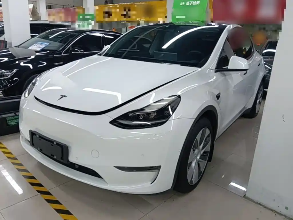 Tesla Model Y 2021 2021 Standard Range Rear-Wheel Drive