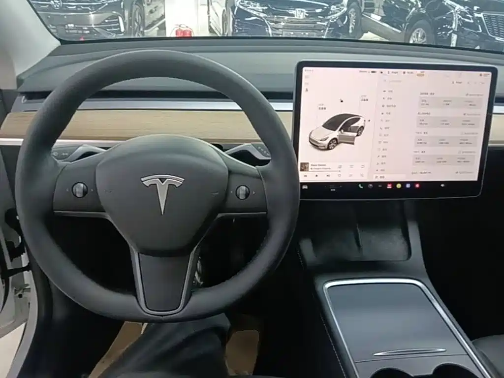 Tesla Model Y 2021 2021 Standard Range Rear-Wheel Drive