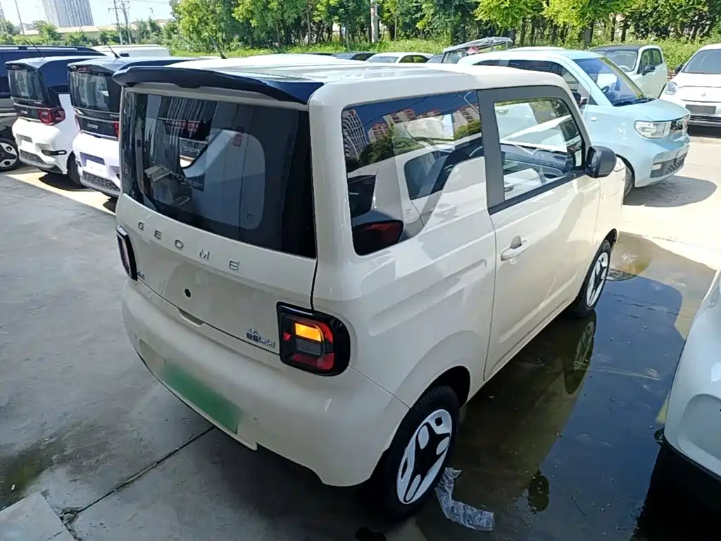 Фото 7 - Geely Galaxy Panda