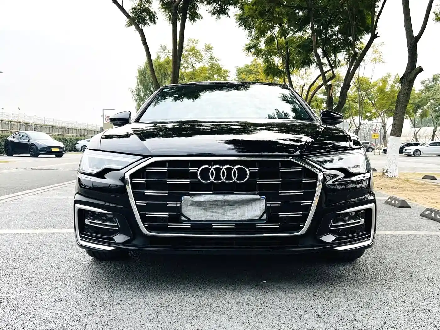 Audi A6L 2024 40 TFSI Luxury Dynamic