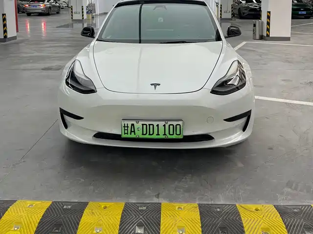 Tesla Model 3 2021