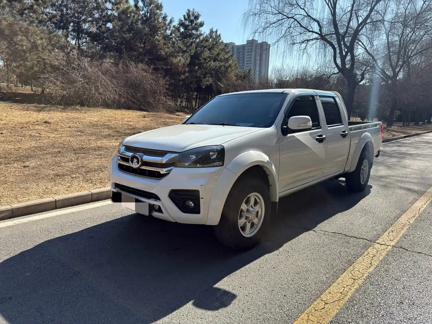 GREAT WALL FENGJUN 5