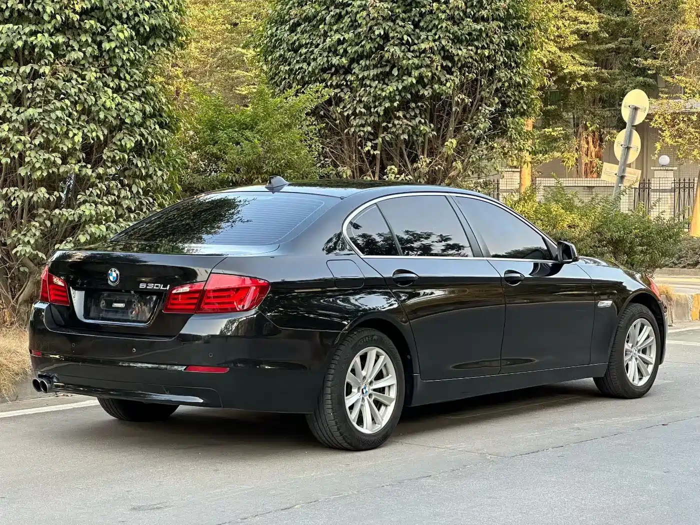 BMW 5 Series 2013 525Li Luxury фото 6