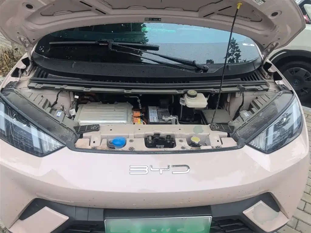 BYD Seagull 2023 Vitality Edition фото 20
