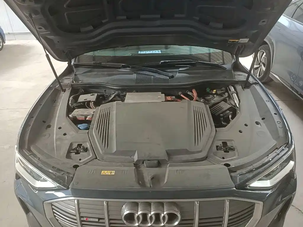 Audi e-tron (Import) 2022 2021 Sportback 55 quattro Luxury