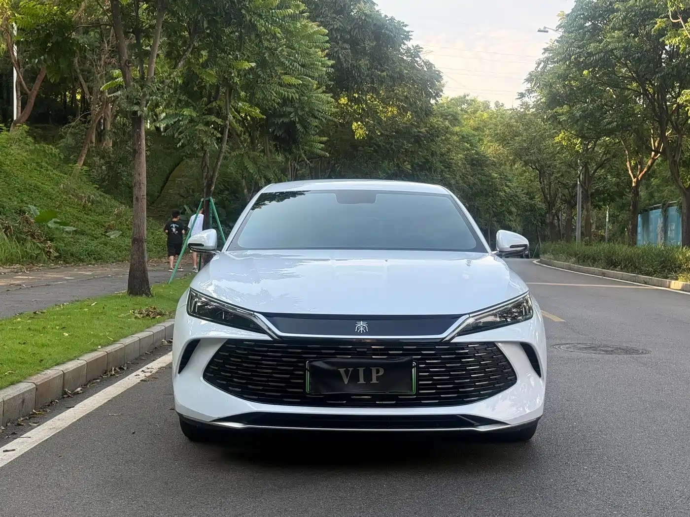 BYD Qin L 2024 2024 DM-i 80KM Leading Edition