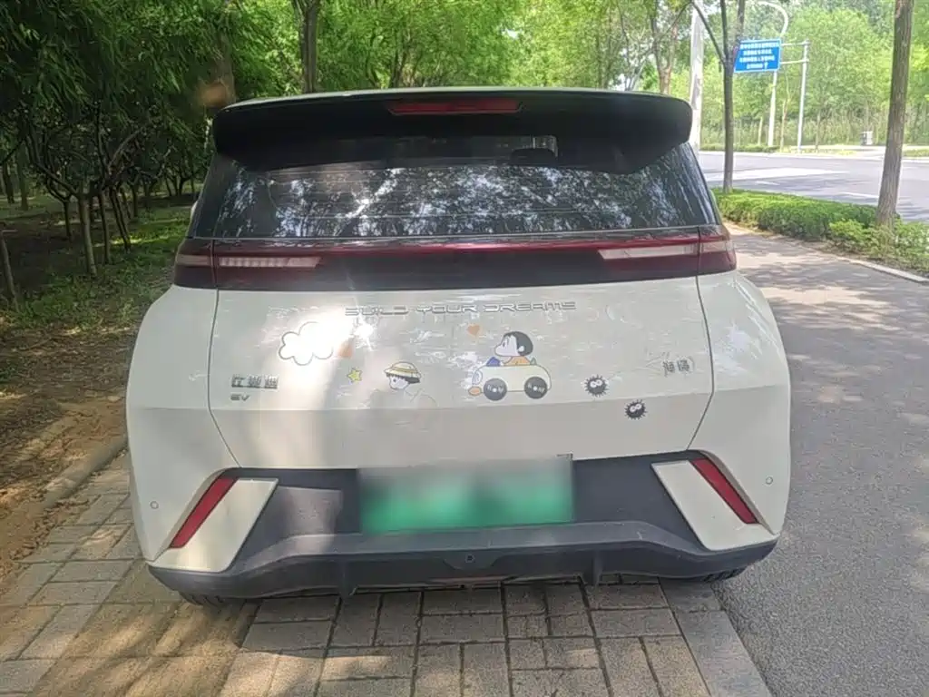 BYD Seagull 2024 Glory Edition 305km Freedom Edition фото 6