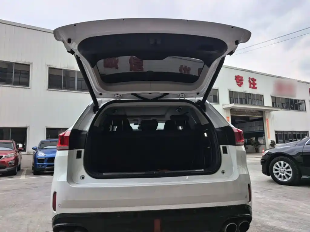 WEY VV6 2018 2018 2.0T 2WD Super Luxury China V