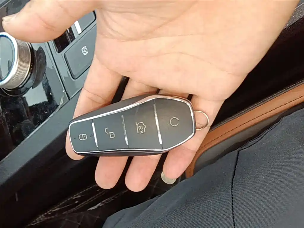 BYD e2 2021 Luxury Edition фото 9