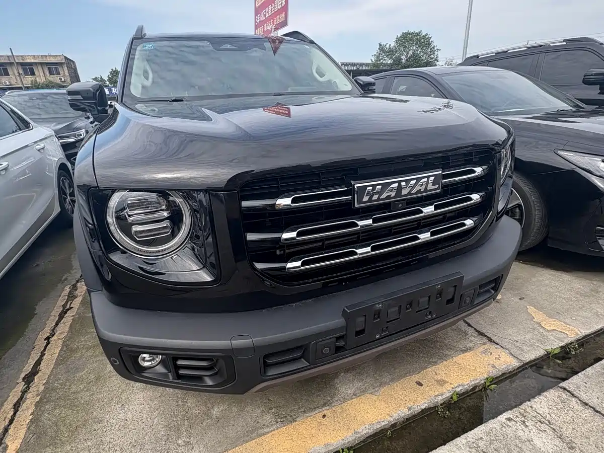 HAVAL BIG DOG