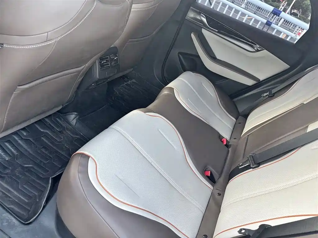 BYD Qin PLUS 2023 Champion Edition EV 420KM Advanced Type фото 9