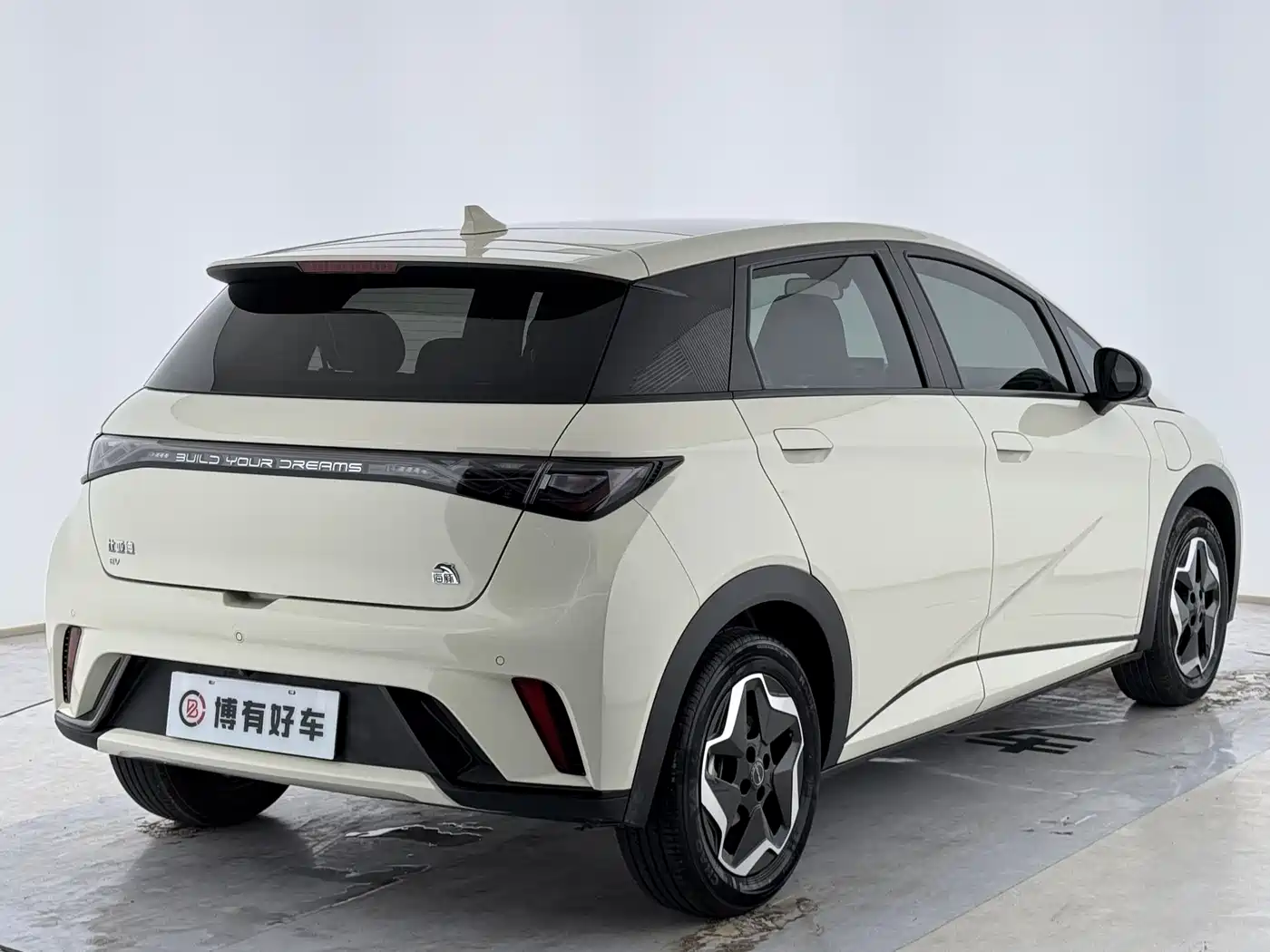 BYD Dolphin 2021 Model 405km Fashion Edition фото 8