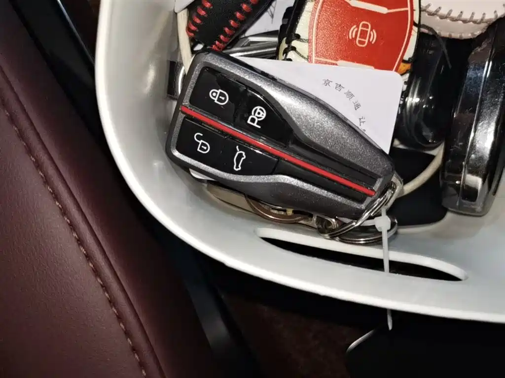 Hongqi HQ9 2023 2.0T Smart Connect Flag Smooth Edition фото 9