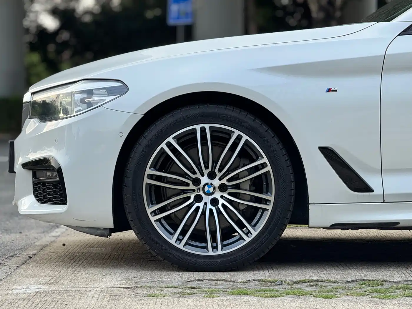BMW 5 Series 2019 530Li Leading M Sport Package фото 4