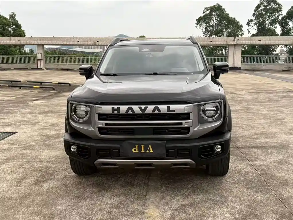 HAVAL BIG DOG