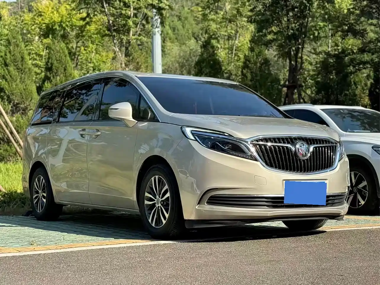 Buick GL8 2018 ES 28T Luxury Type China VI фото 3