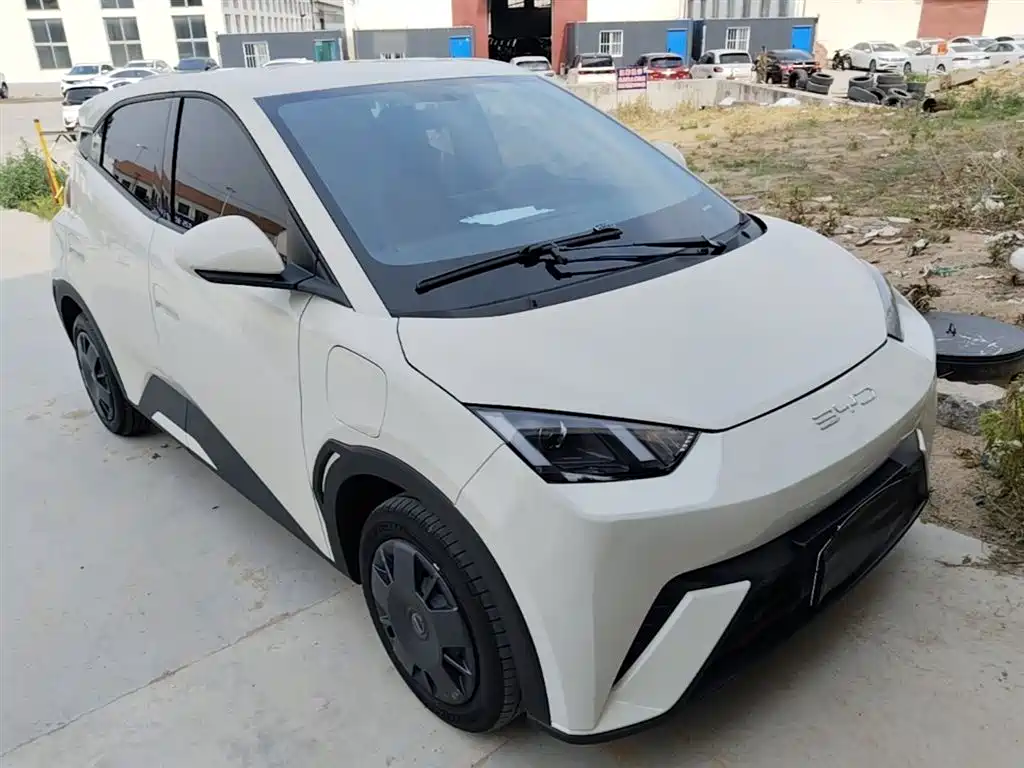 BYD Seagull 2024 Glory Edition 305km Vitality Edition фото 4