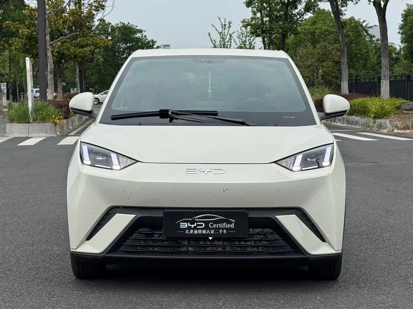 BYD Seagull 2024 Glory Edition 305km Freedom Edition фото 2