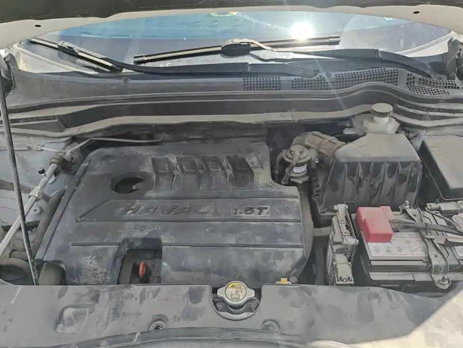 Haval H6 2018 Red Label Sport 1.5T Automatic 2WD Elite фото 10