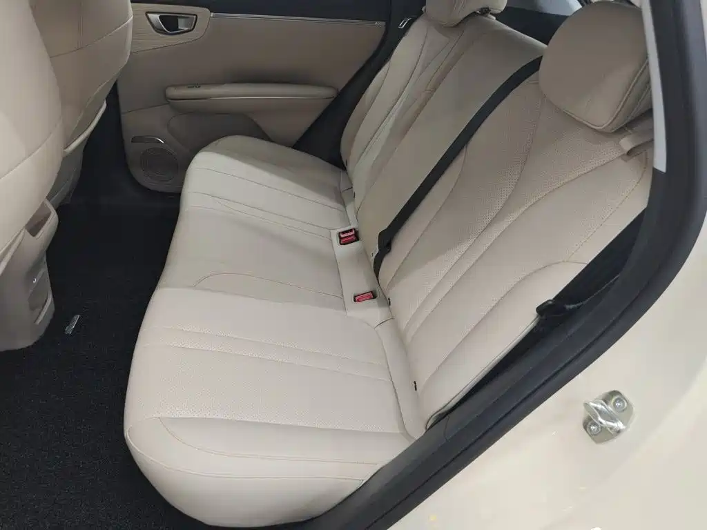 Wuling Motors Wuling Bingo S 2026 2025 Model 430km Premium Edition