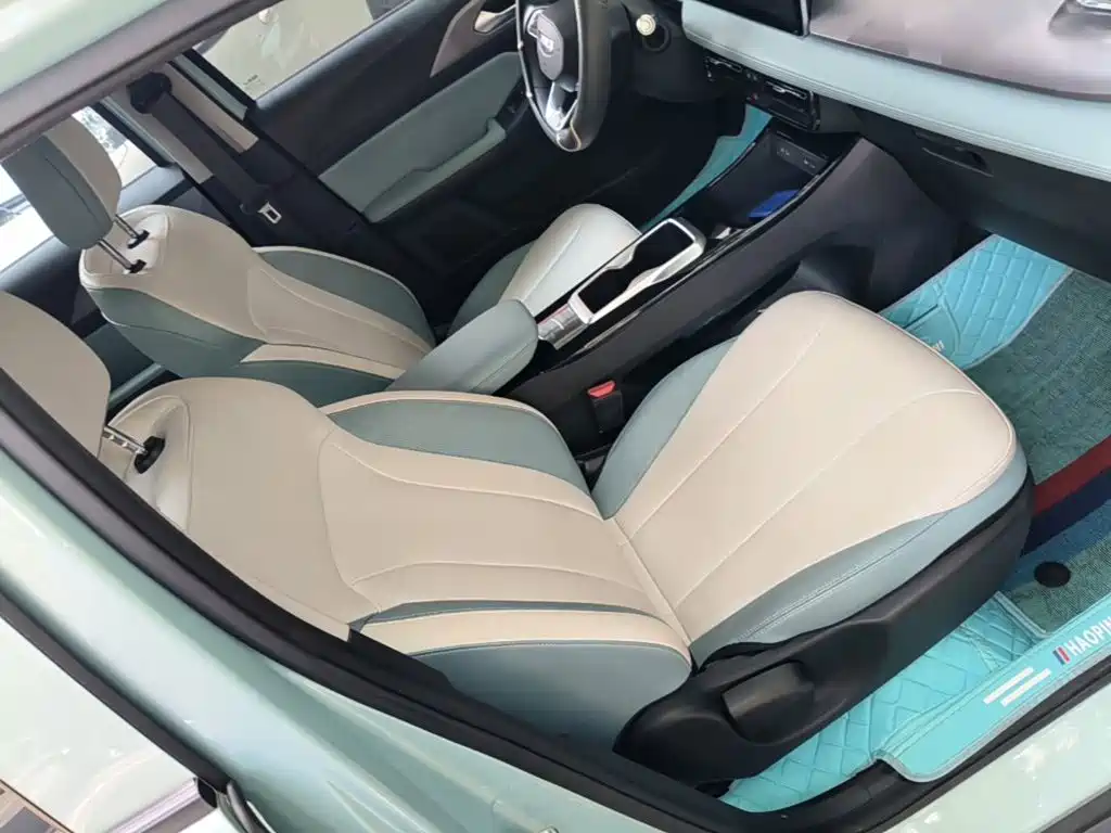 Geely Geometry E Firefly 2024 2024 Model 301km Starlight
