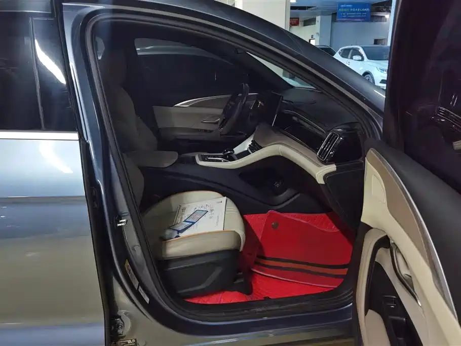 BYD Song Pro New Energy 2024 Glory Edition DM-i 71KM Pilot фото 8
