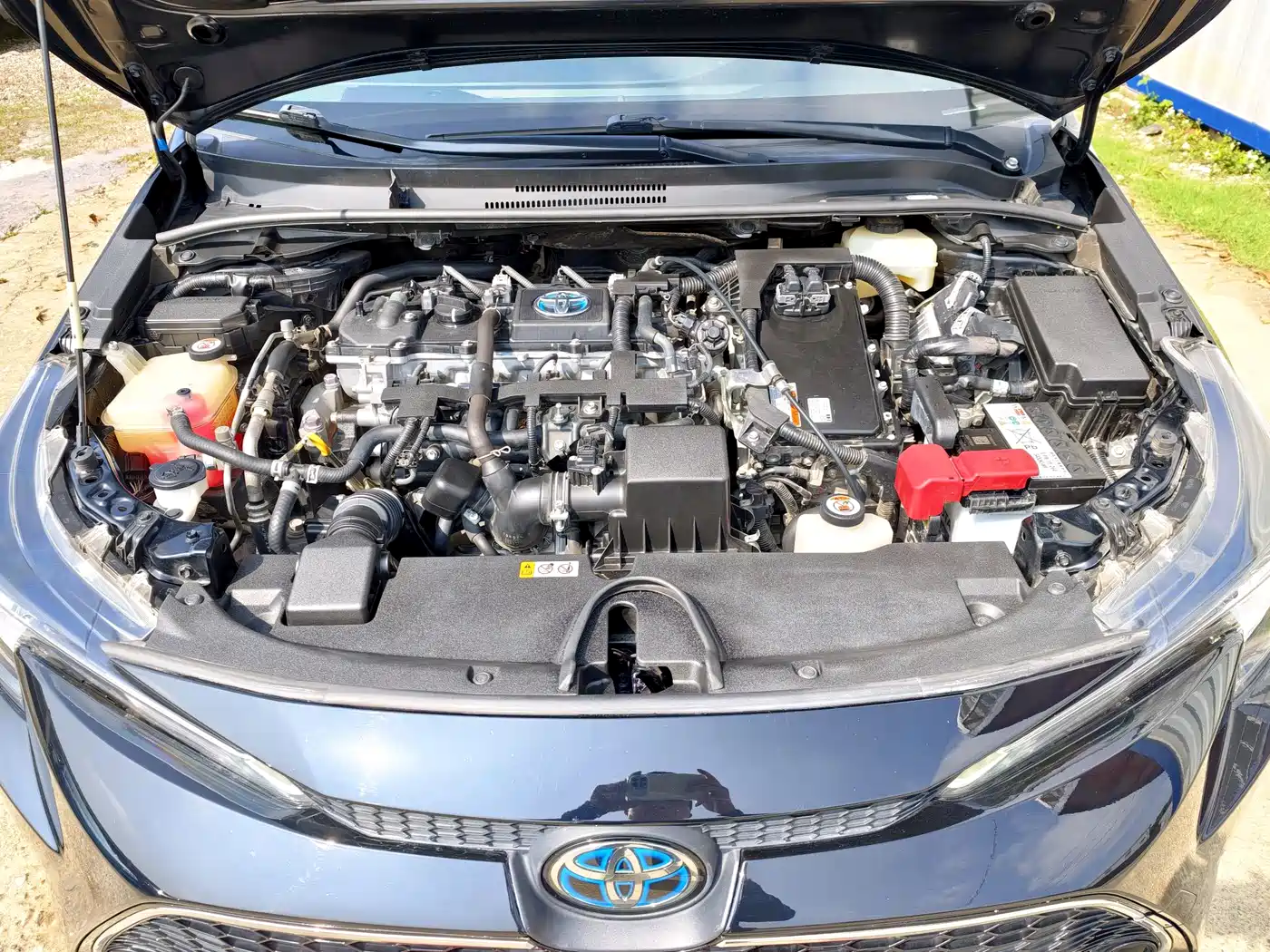 Toyota Levin 2019 Dual Engine 1.8H E-CVT Luxury Edition China V фото 27