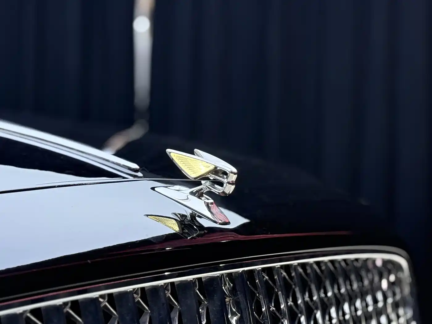 Bentley Flying Spur 2012 6.0T Limited Edition фото 4