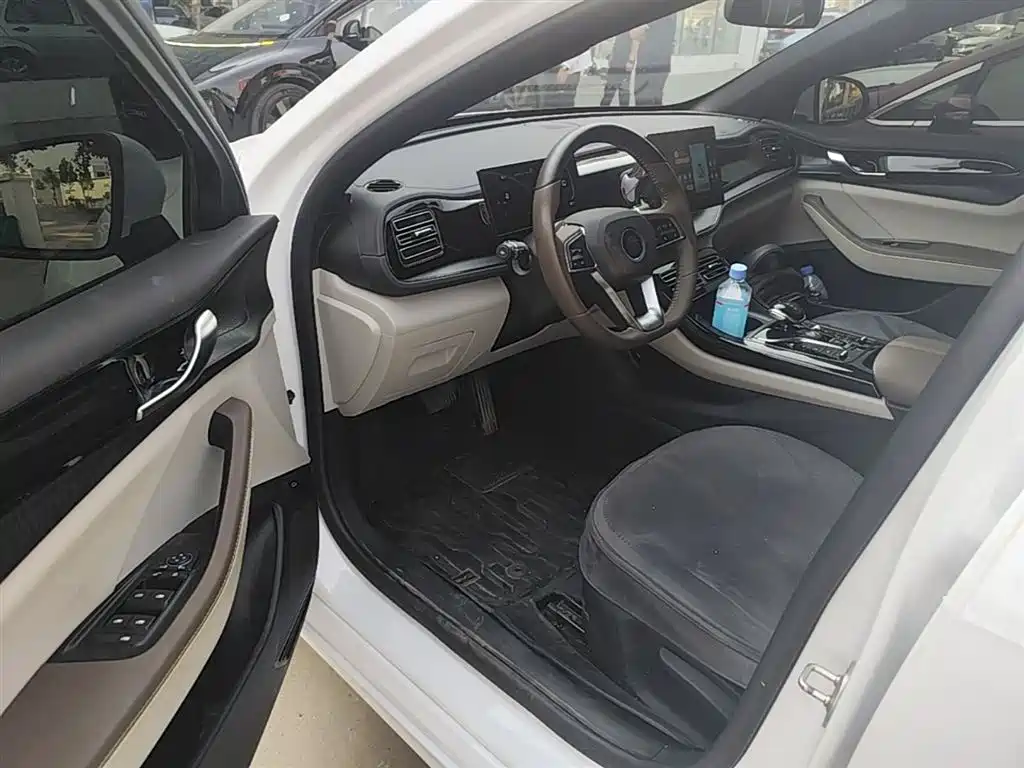 BYD Qin PLUS 2024 Glory Edition DM-i 55KM Leading фото 16