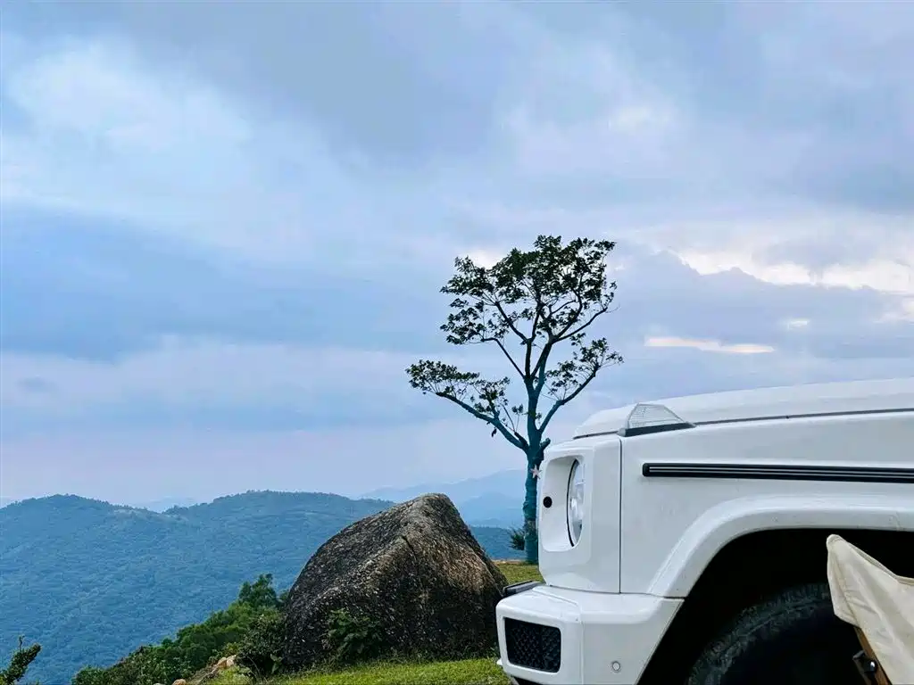 Mercedes-Benz G-Class 2022 G 500 фото 5