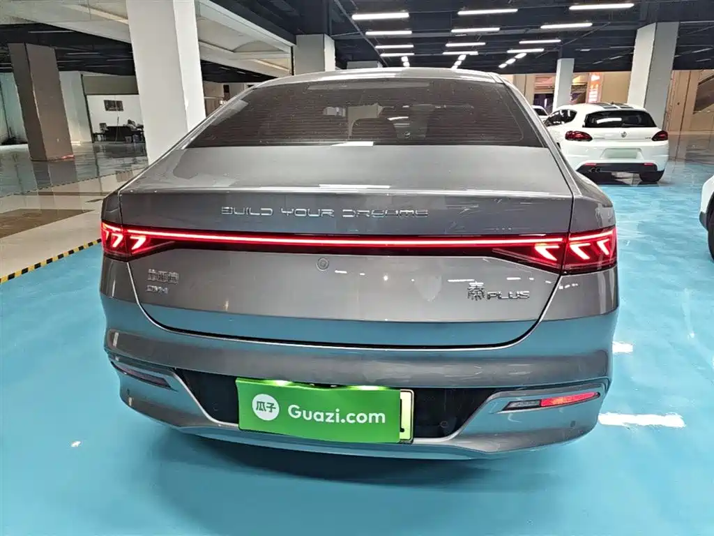 BYD Qin PLUS 2024 Glory Edition DM-i 55KM Leading фото 6