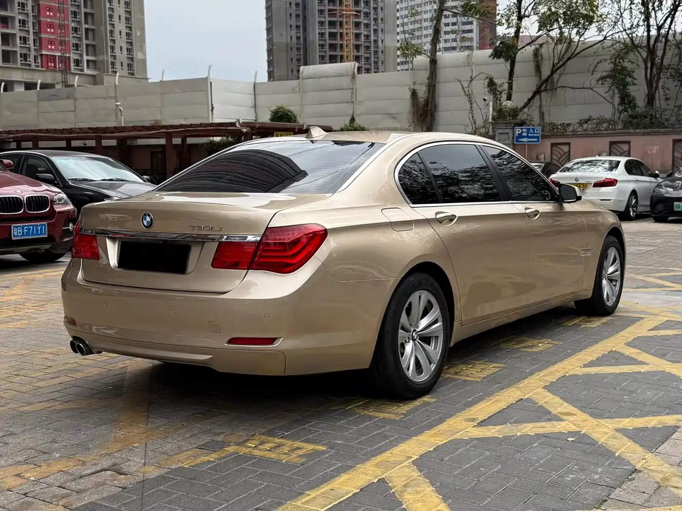 BMW 7 Series 2009 730Li Leading фото 25