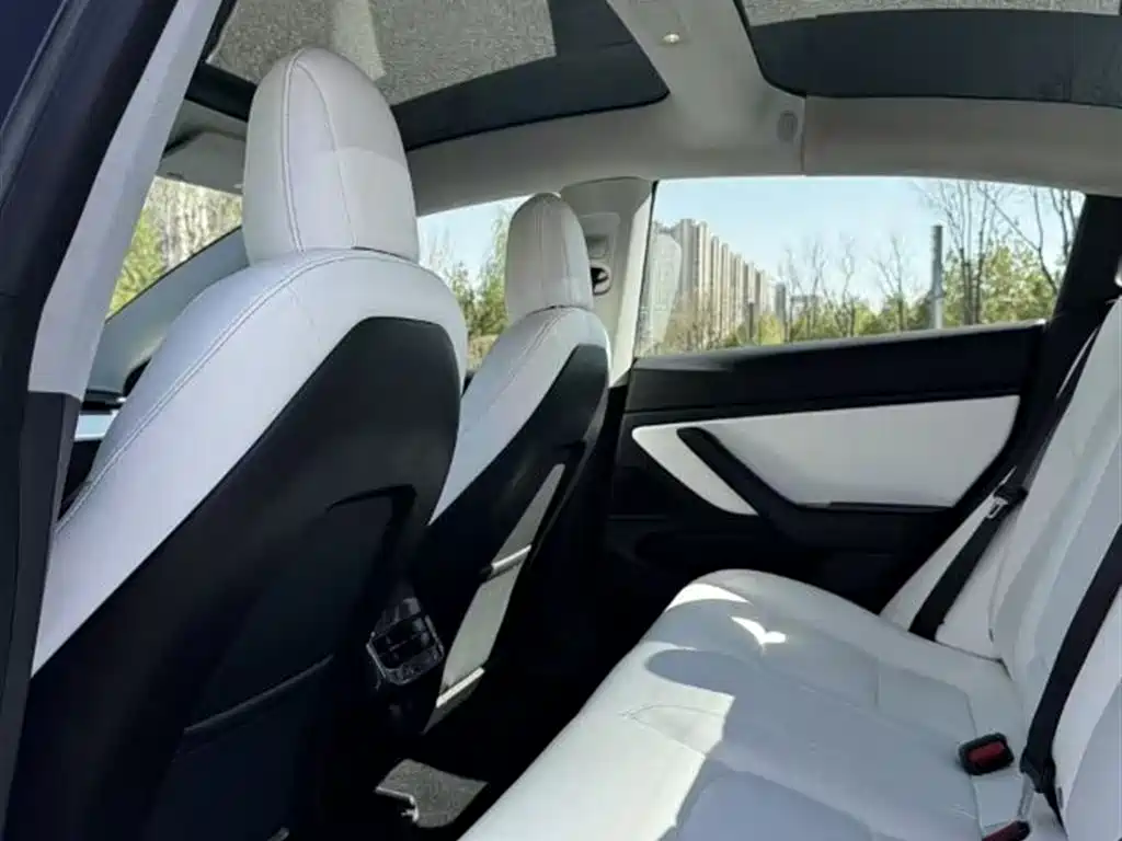 TESLA MODEL 3 (IMPORTED)