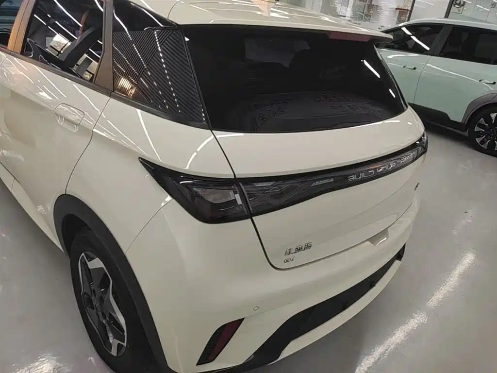 BYD Dolphin 2021 Model 405km Fashion Edition фото 4