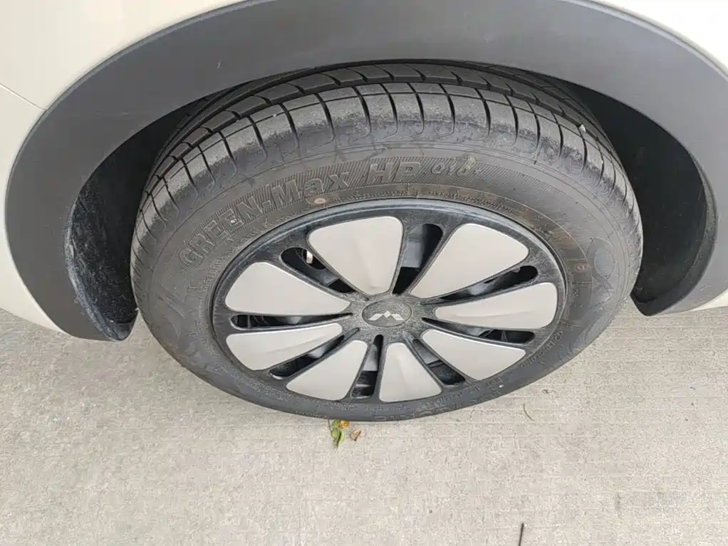 Wuling Motors Wuling Bingo 2026 2025 Model 333km Joy Edition